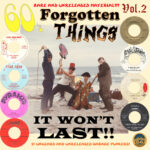 Various - 60s Forgotten Things Vol. 2 - It Won't Last!! ( Limited Edition 300 Copies ) Vinyl Record Album LP